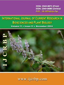 Vol-11-Issue-11