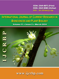 Vol-11-Issue-3