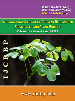 Vol-11-Issue-4